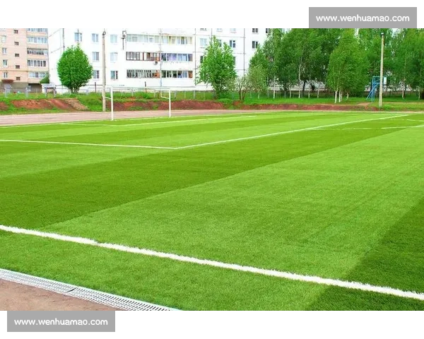 以世界杯草坪维护标准引领足球场地高质量管理新体系建设发展路径